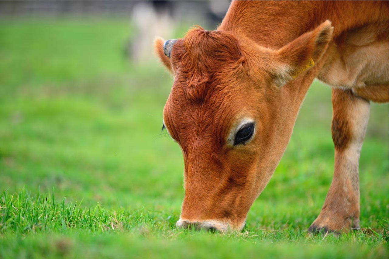 包裝設(shè)計(jì) 包裝設(shè)計(jì)